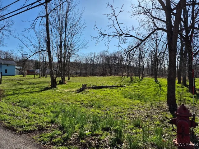 $31,500 | 87 Center Street, Lockport City, NY 14094