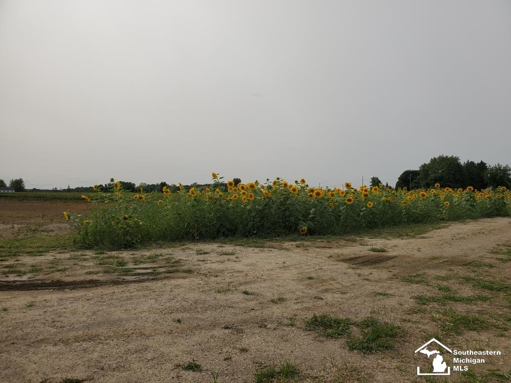 0 Blazer Road Maybee, MI 48159 - Photo 19 of 29