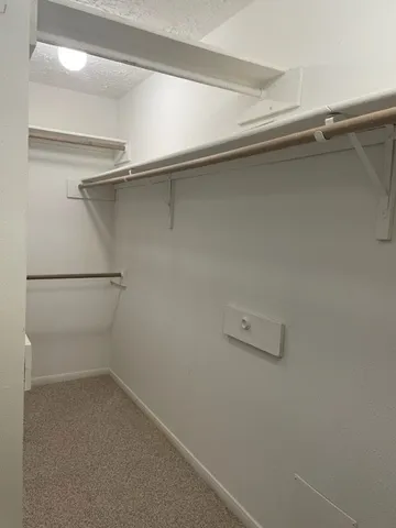 $3,350 | 51 Rush Haven Drive, The Woodlands, TX 77381