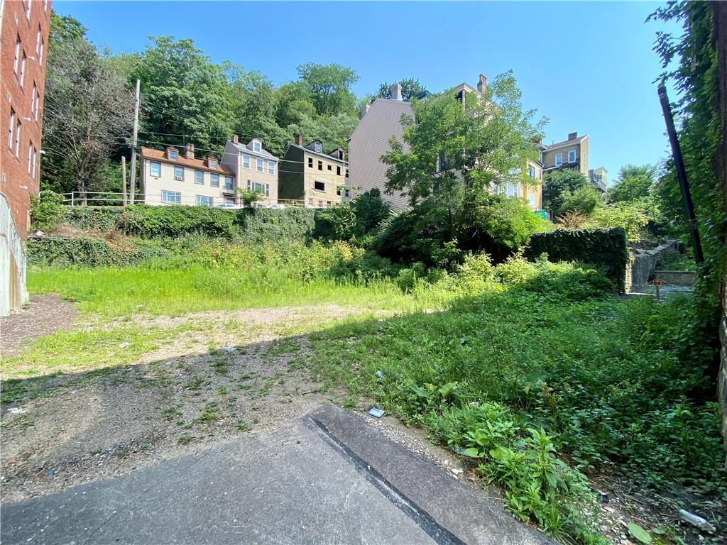 812 Concord Street Pittsburgh, PA 15212 - Photo 3 of 18 a view of backyard with green space