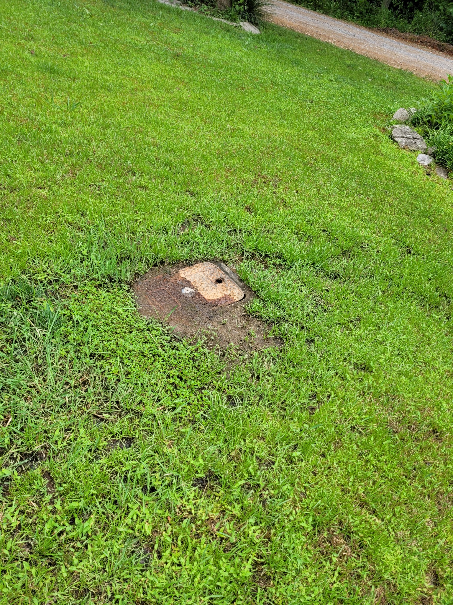 1225 Tanner Hollow Road Centerville, TN 37033 - Photo 15 of 31 Gallery Image 15