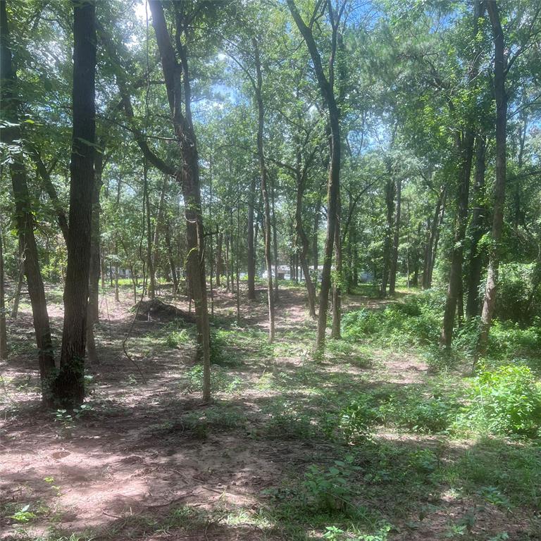 Tbd Azalea Lane Mount Vernon, TX 75457 - Photo 1 of 6