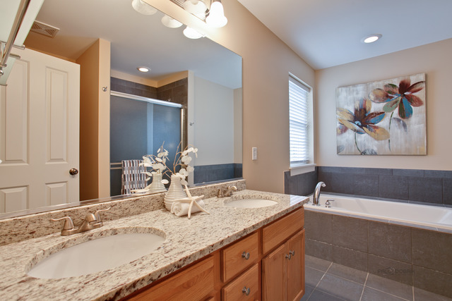 1405 Turks Cap Road Grayslake, IL 60030 - Photo 14 of 25 a bathroom with a granite countertop sink mirror and double