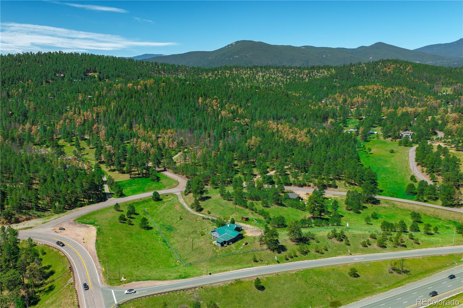 29793 Ruby Ranch Road Evergreen, CO 80439 - Photo 19 of 28 a view of a lush green field with a tree