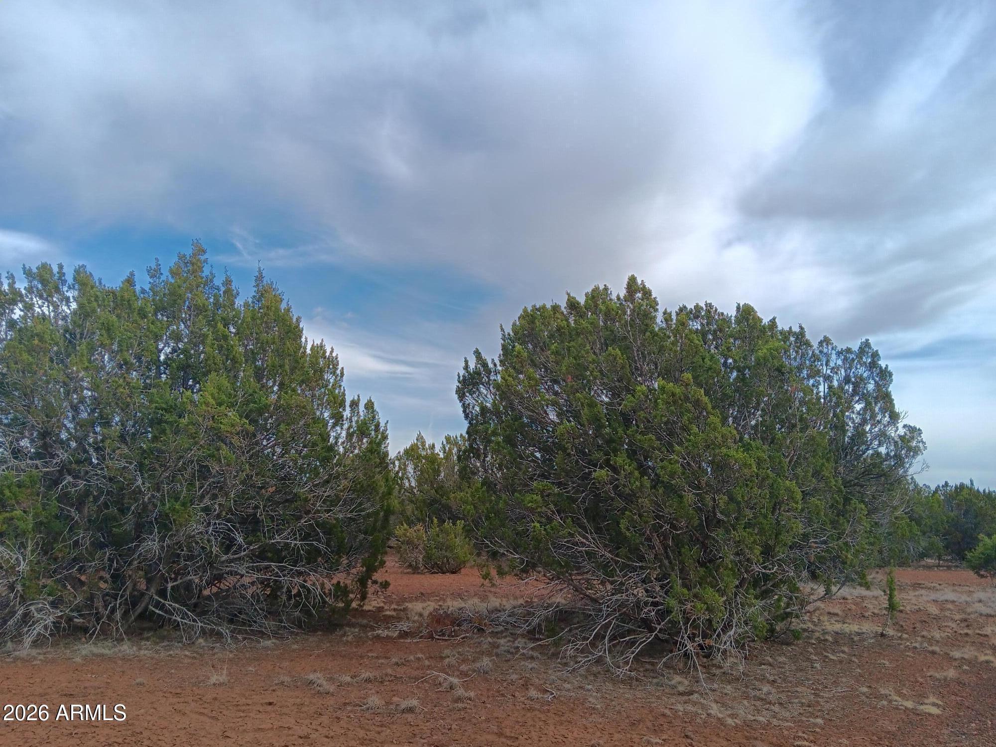 20 County Road Concho, AZ 85924 - Photo 12 of 18 20 County Rd N8412