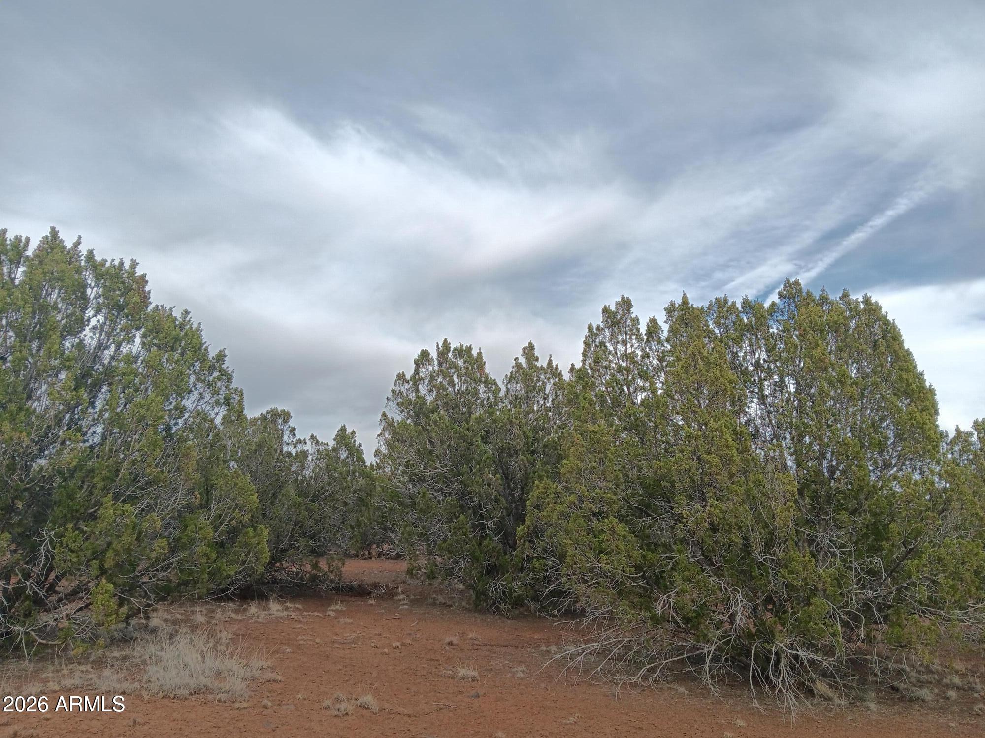 20 County Road Concho, AZ 85924 - Photo 13 of 18 20 County Rd N8412