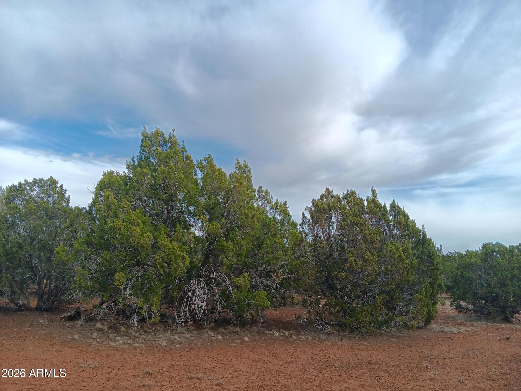 20 County Road Concho, AZ 85924 - Photo 14 of 18 20 County Rd N8412