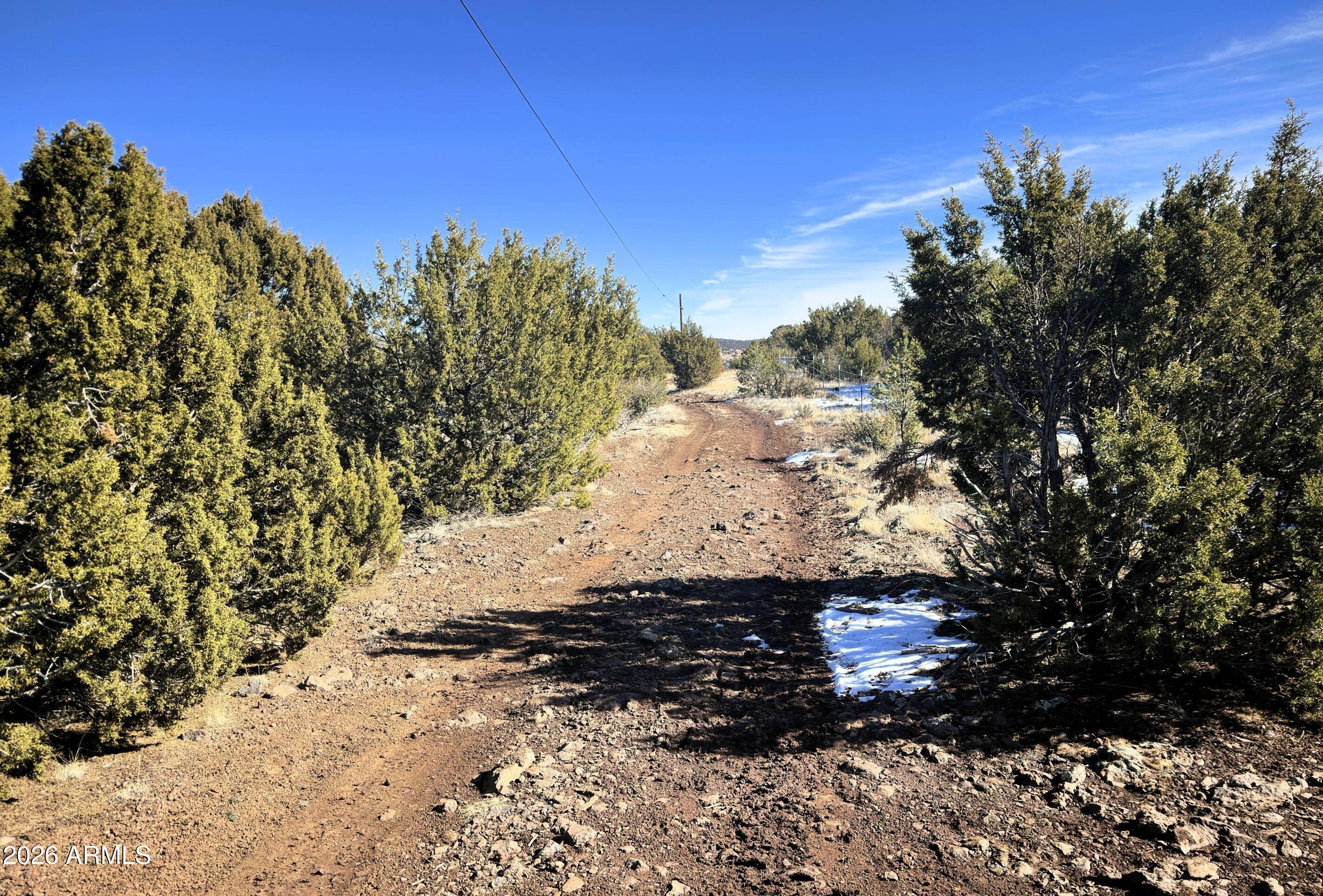 20 County Road Concho, AZ 85924 - Photo 17 of 18 20 County Rd N8412