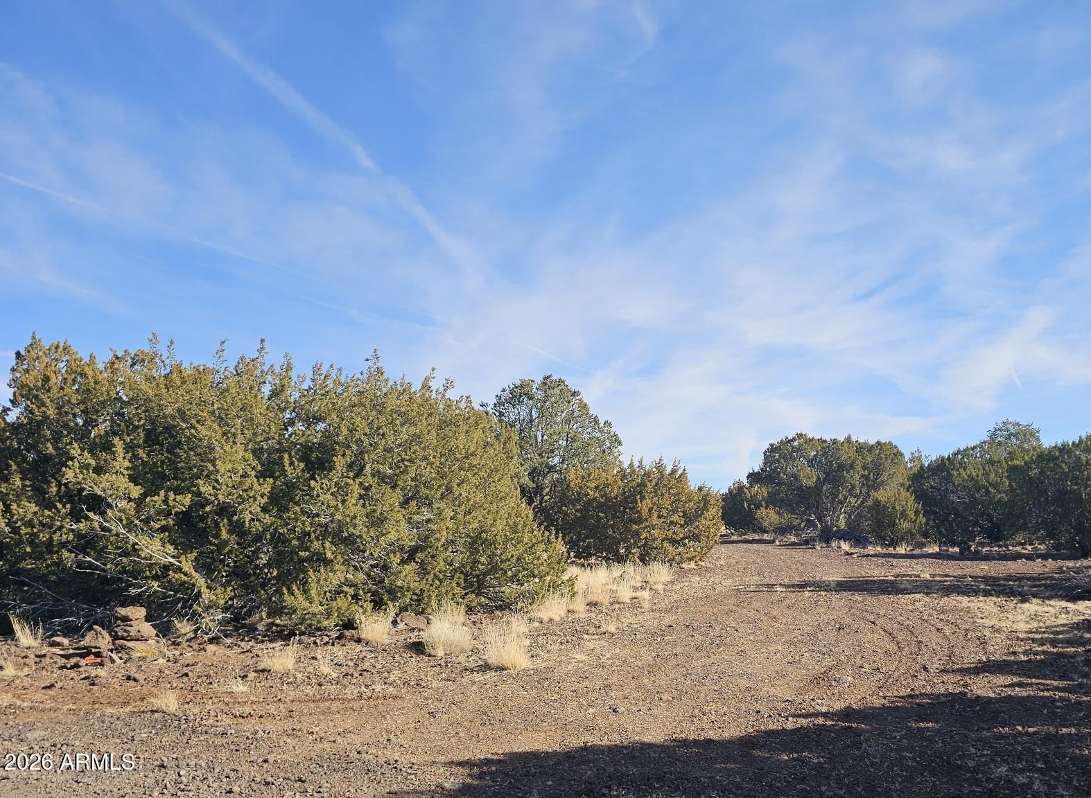 20 County Road Concho, AZ 85924 - Photo 5 of 18 20 County Rd N8412