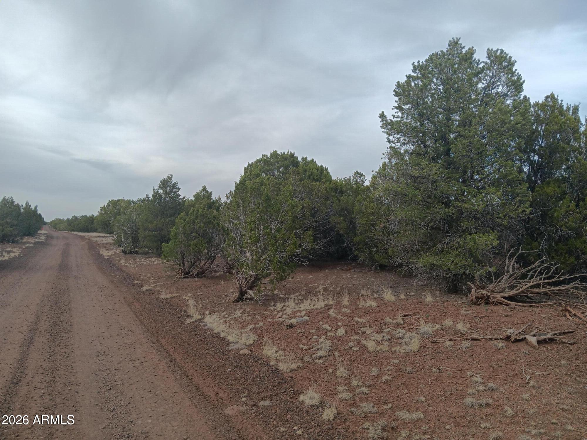 20 County Road Concho, AZ 85924 - Photo 7 of 18 20 County Rd N8412