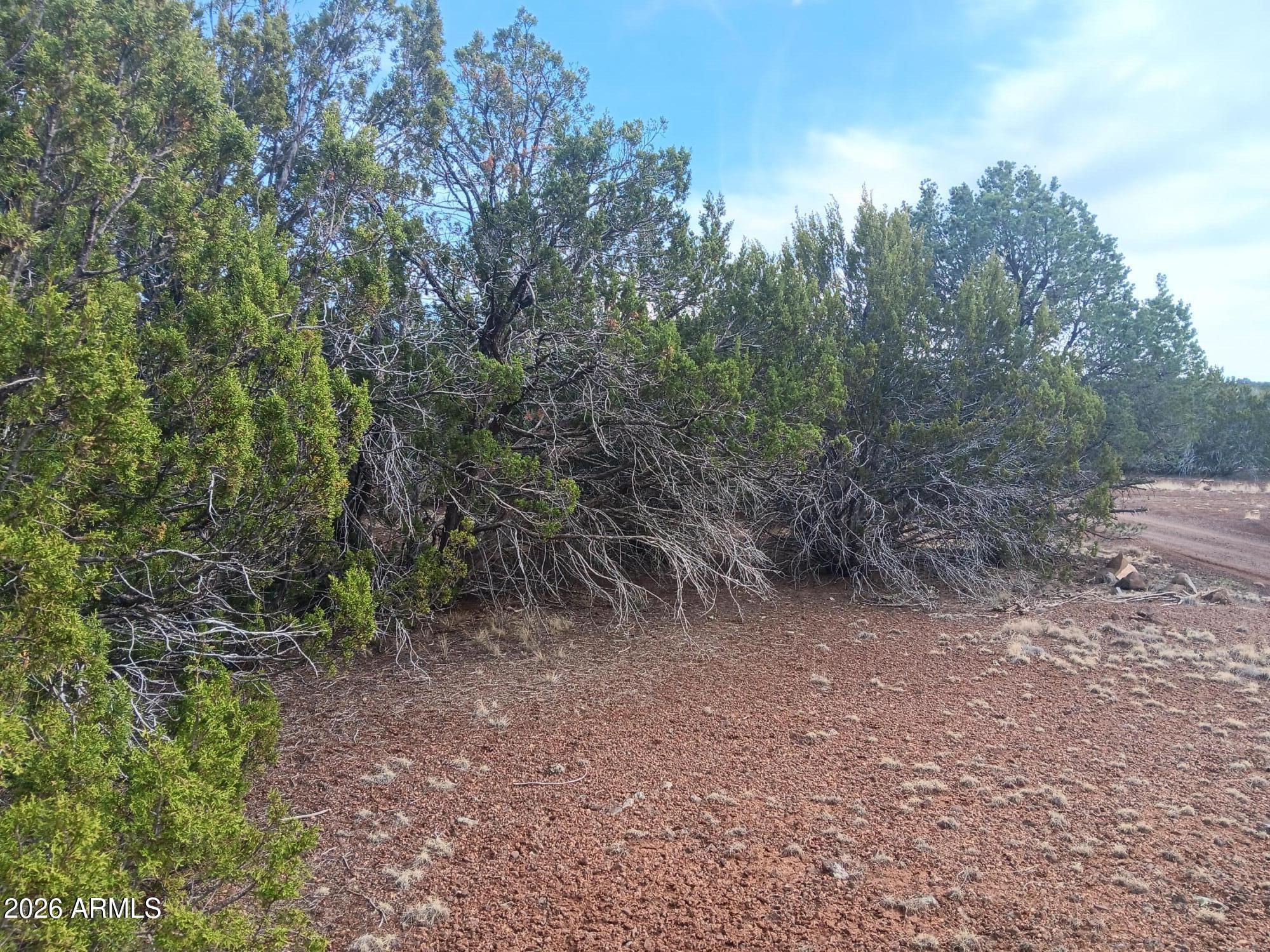 20 County Road Concho, AZ 85924 - Photo 9 of 18 20 County Rd N8412