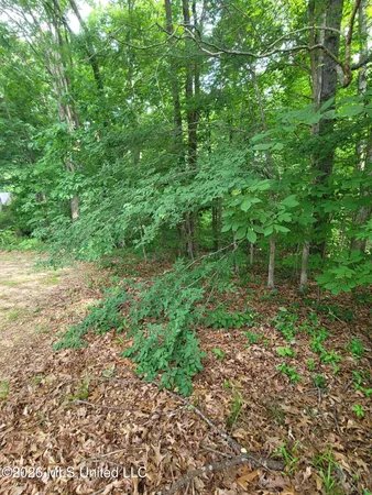 $19,500 | 1476 Thunderbird Drive South, Hernando, MS 38632