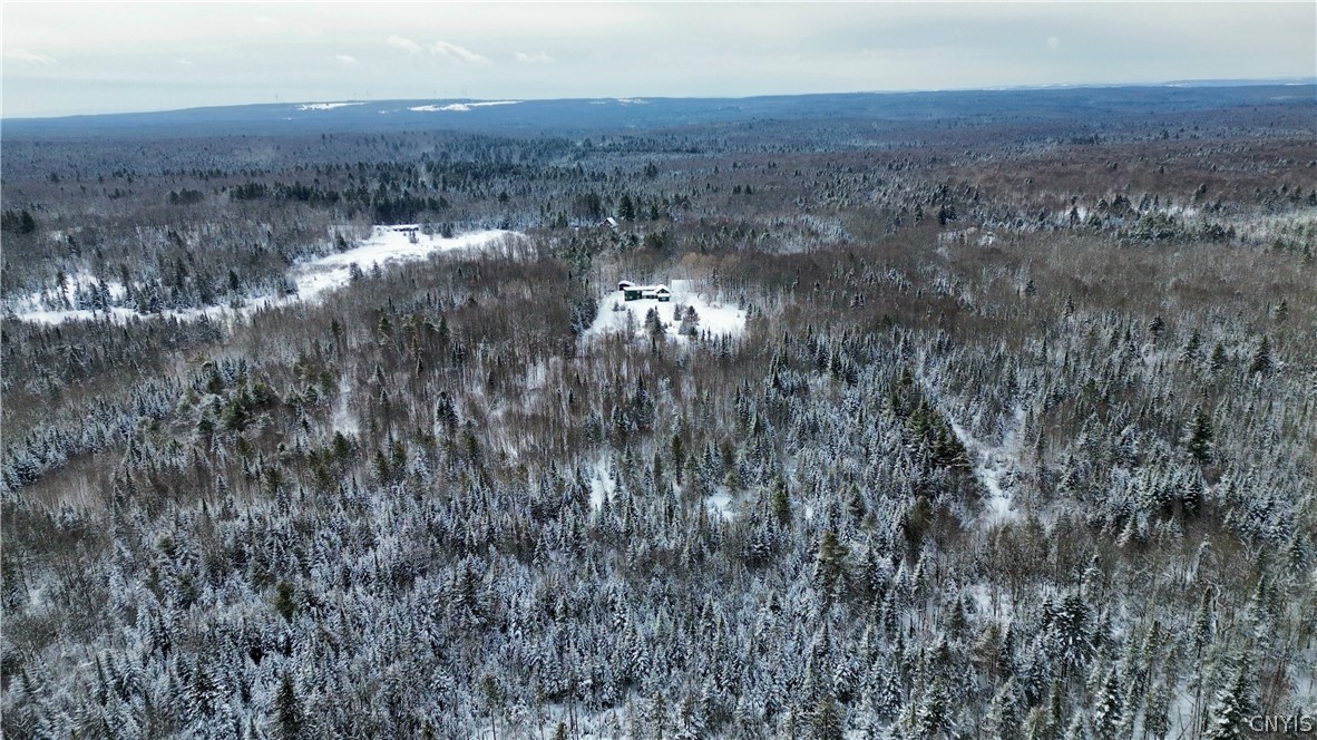 225 Amberg Road Ohio, NY 13324 - Photo 12 of 12