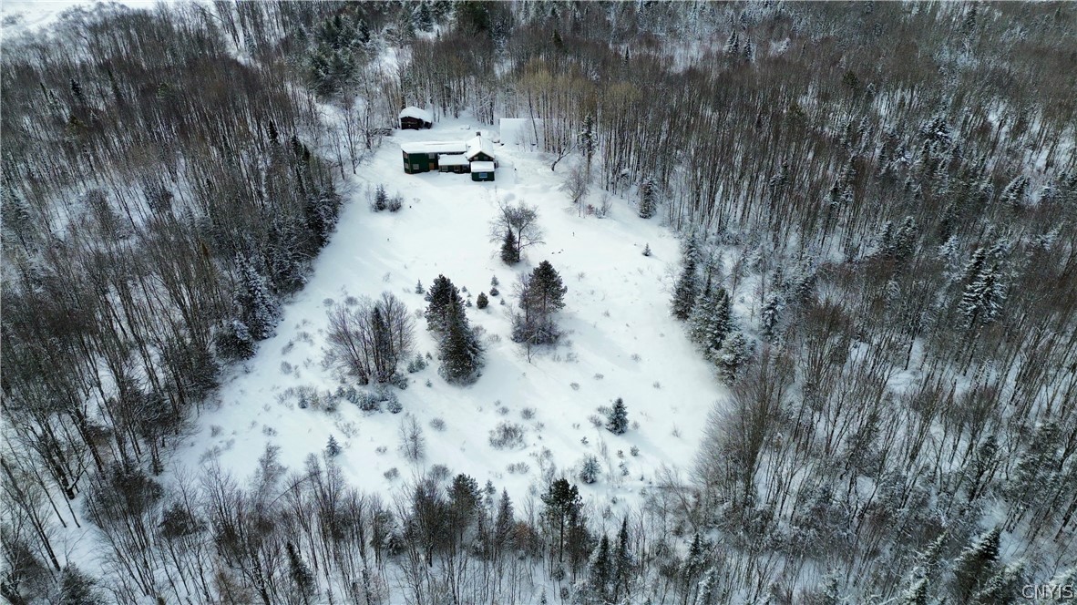 225 Amberg Road Ohio, NY 13324 - Photo 3 of 12