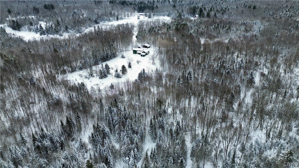 225 Amberg Road Ohio, NY 13324 - Photo 5 of 12