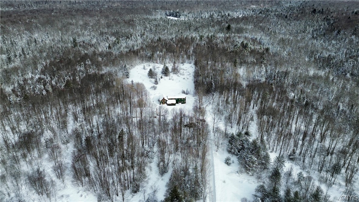 225 Amberg Road Ohio, NY 13324 - Photo 6 of 12