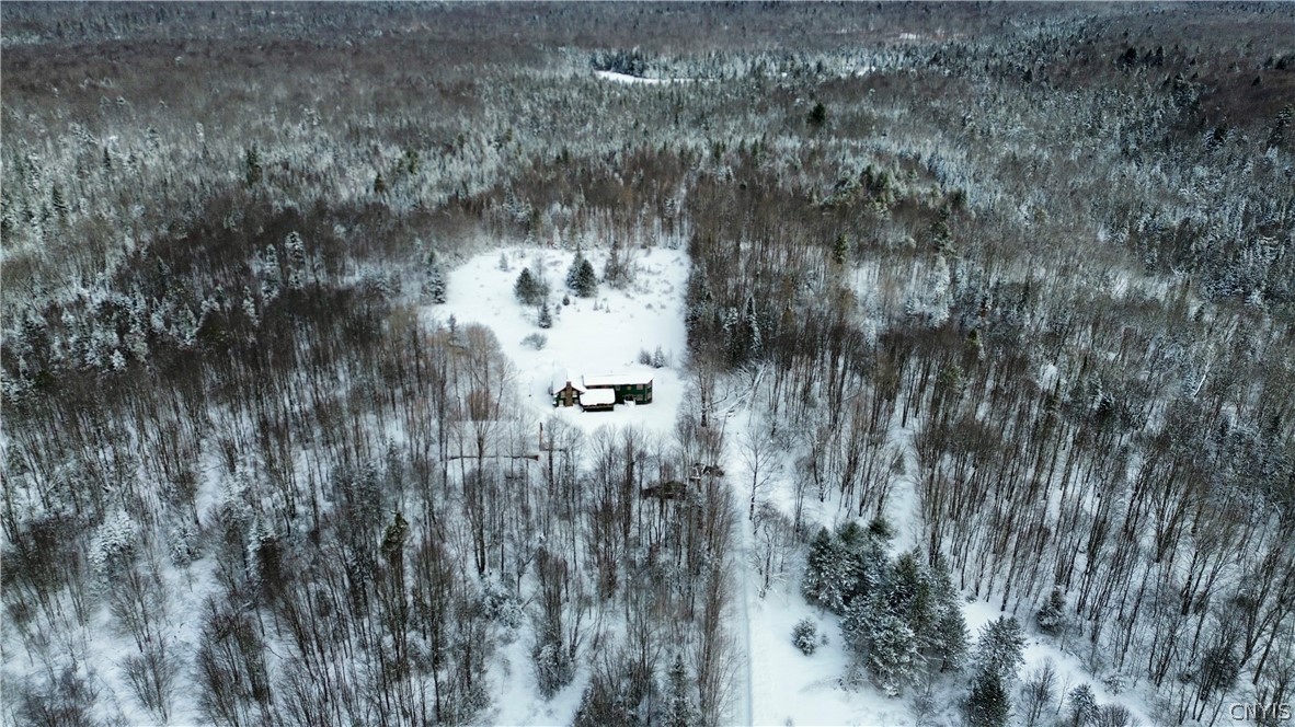 225 Amberg Road Ohio, NY 13324 - Photo 7 of 12