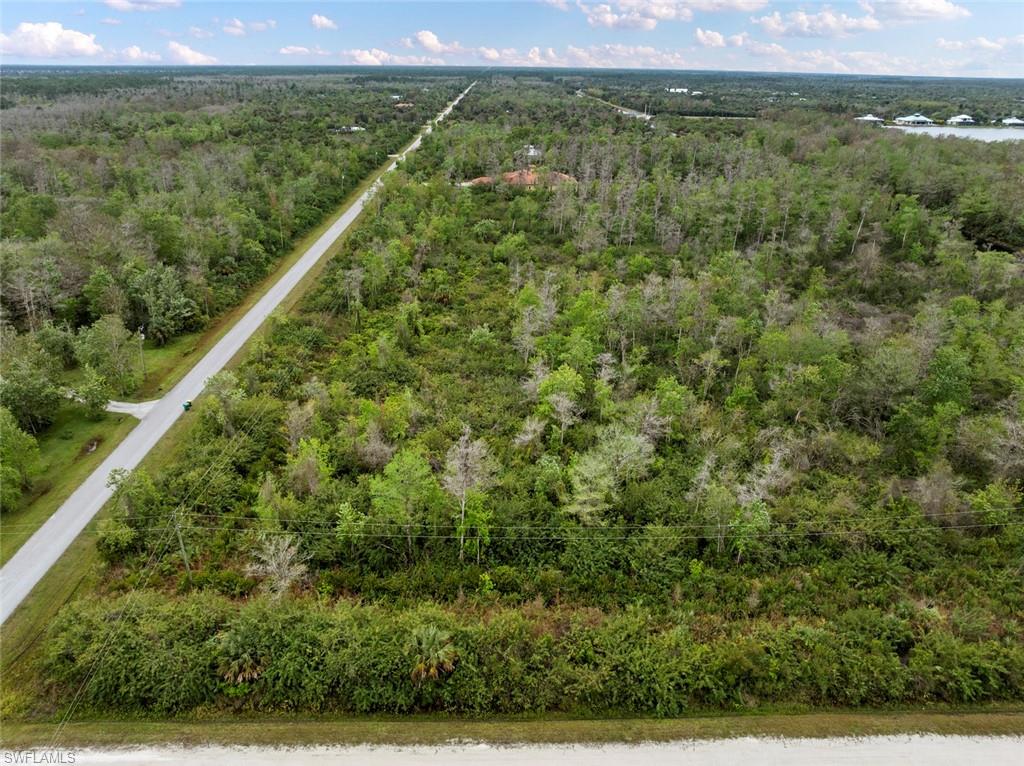 47th Avenue Northwest Naples, FL 34120 - Photo 4 of 11 a view of a forest with a lush green forest