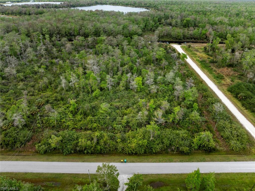47th Avenue Northwest Naples, FL 34120 - Photo 5 of 11 a view of a yard with a tree