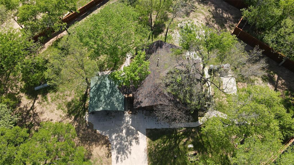a view of a yard with plants and a bench