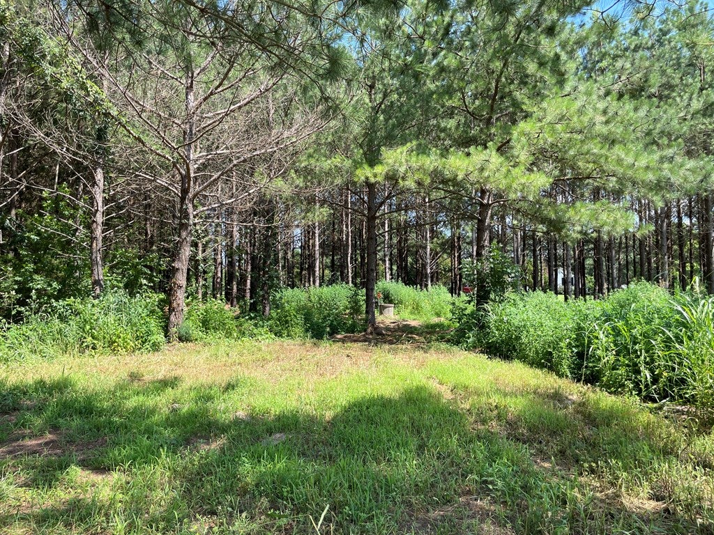 Deer Run Road Blackstone, VA 23824 - Photo 13 of 17 Gallery Image 13