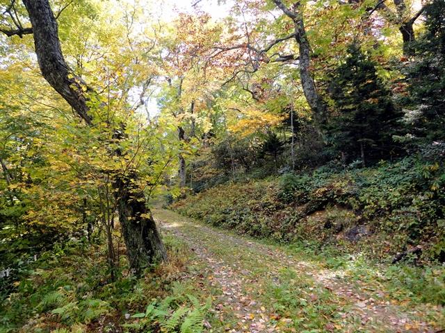 Lot 1 Hemlock Ridge Road Blowing Rock, NC 28605 - Photo 4 of 5 Gallery Image 4