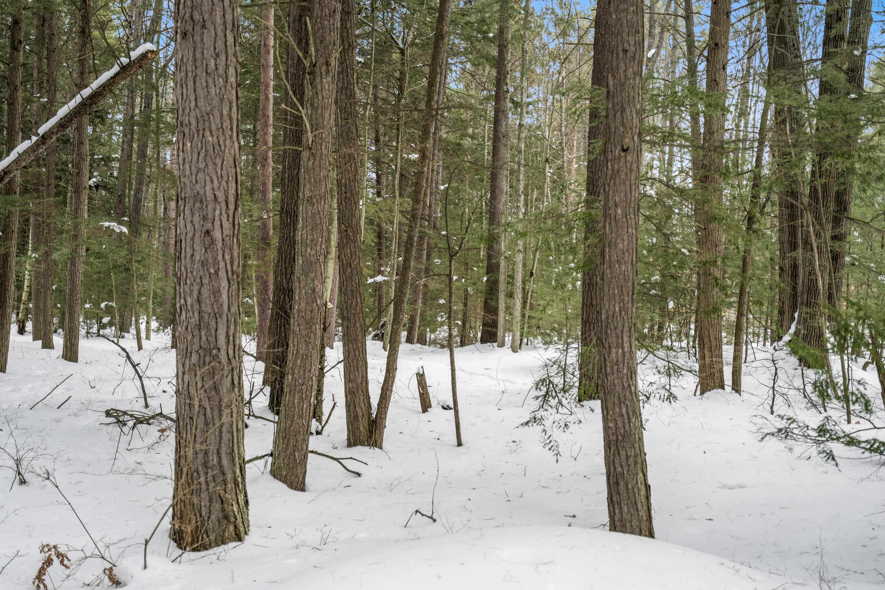14607 Pyatt Road Traverse City, MI 49686 - Photo 20 of 20