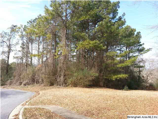 110 Cherry Tree Lane, Unit 21 Cropwell, AL 35054 - Photo 3 of 4