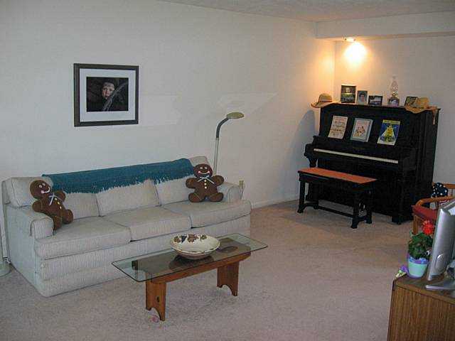 48 Farnsworth Road North Henrietta, NY 14623 - Photo 4 of 12 Other