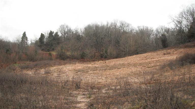 62 Owenton Road Stamping Ground, KY 40379 - Photo 13 of 19 This is another possible building site i