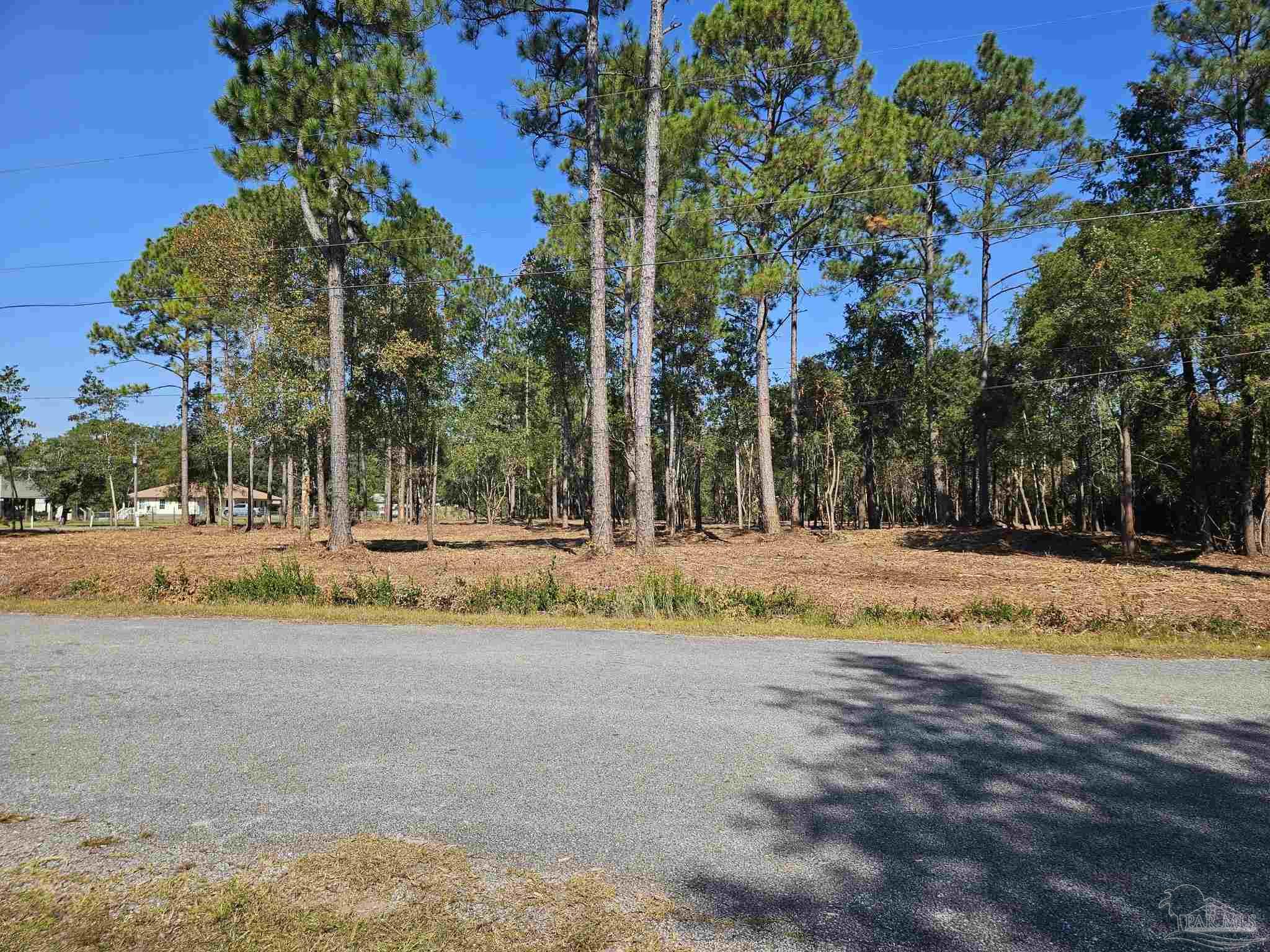 Wildwood Drive Milton, FL 32570 - Photo 2 of 6 a view of city with palm trees