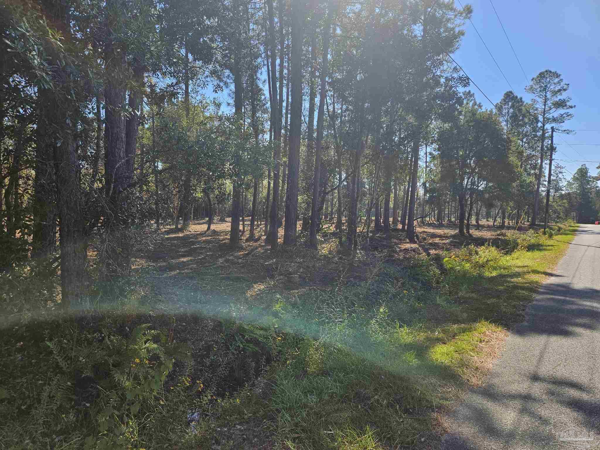 Wildwood Drive Milton, FL 32570 - Photo 3 of 6 a view of a yard with trees
