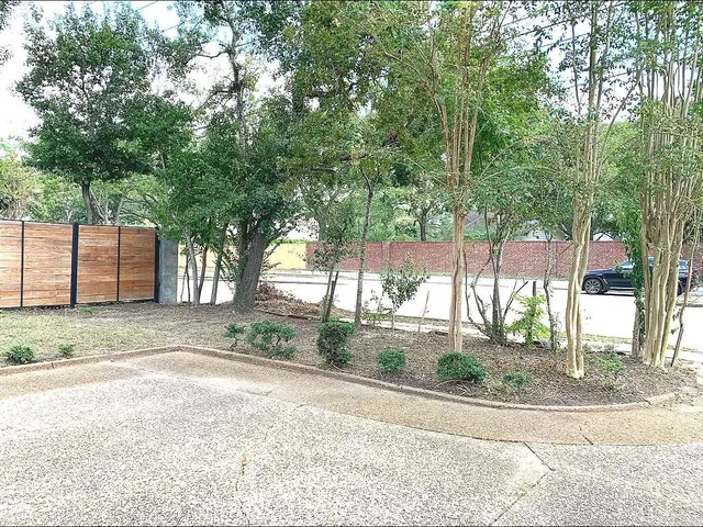 a view of a garden with plants