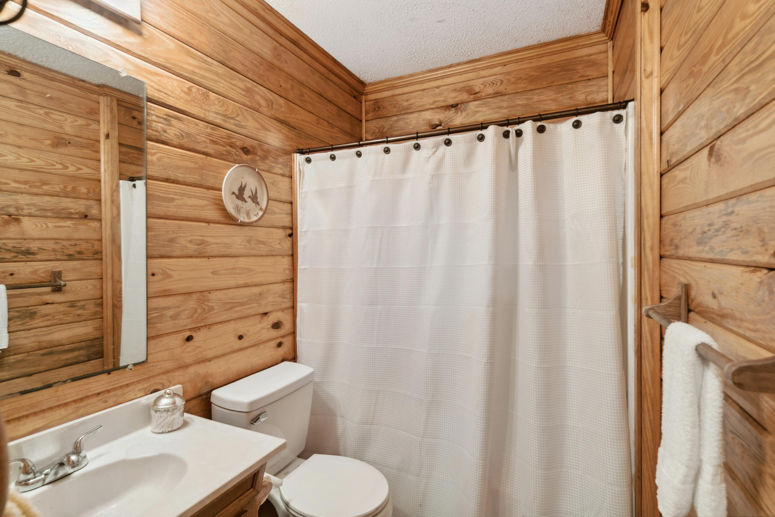 347 Fallaw Road Batesburg, SC 29006 - Photo 30 of 46 2025-04-01_347_fallaw_rd-em-30