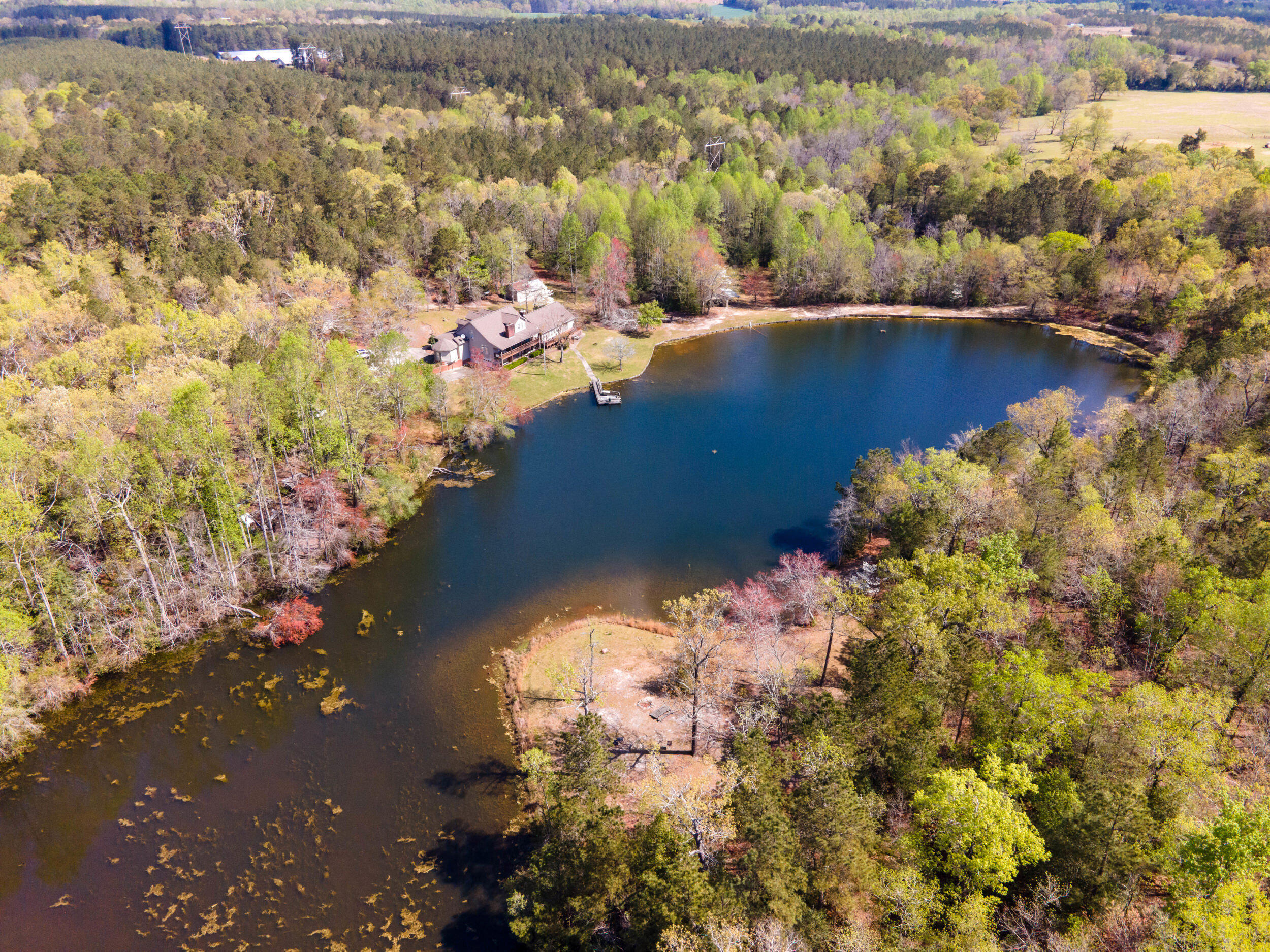 347 Fallaw Road Batesburg, SC 29006 - Photo 45 of 46 2025-04-01_347_fallaw_rd-em-45-drone