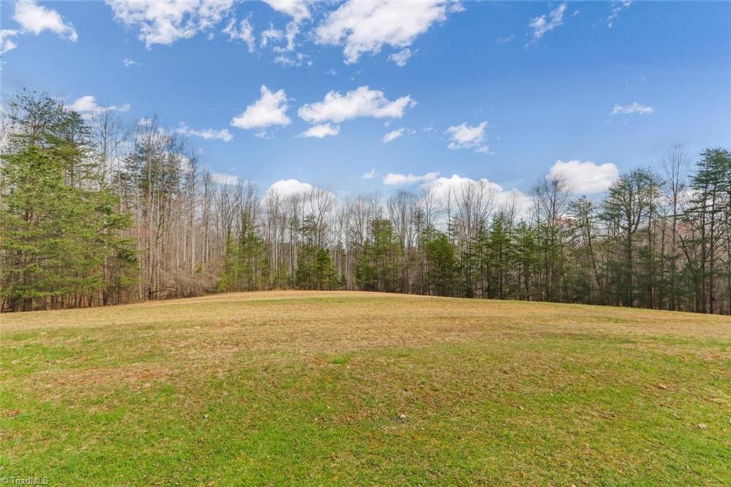 3881 Iron Works Road Reidsville, NC 27320 - Photo 21 of 27 Gallery Image 21