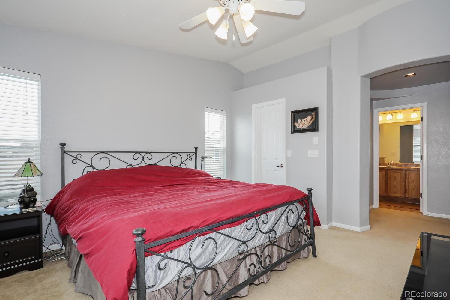 5440 Jaguar Way Highlands Ranch, CO 80130 - Photo 11 of 20