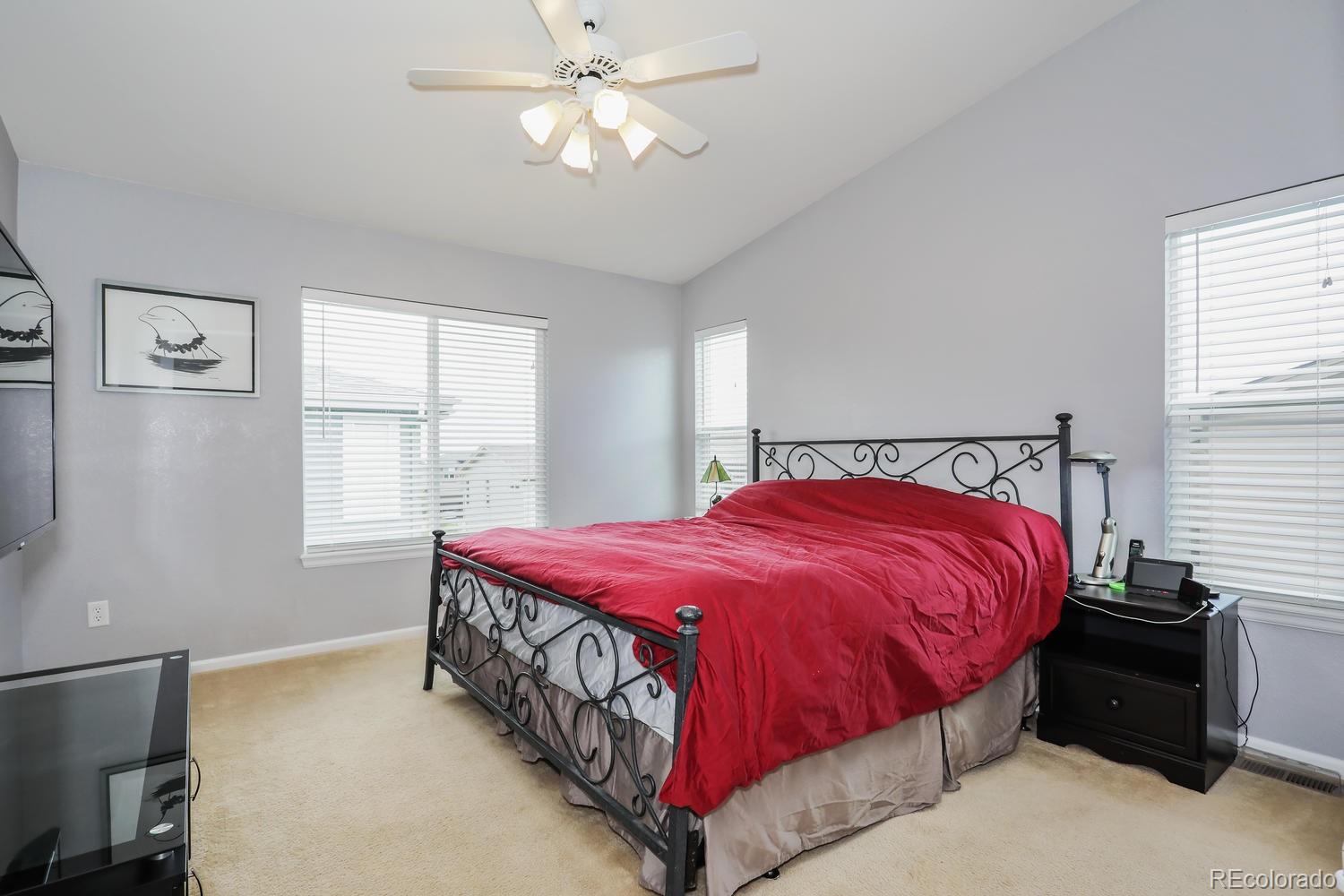 5440 Jaguar Way Highlands Ranch, CO 80130 - Photo 10 of 20