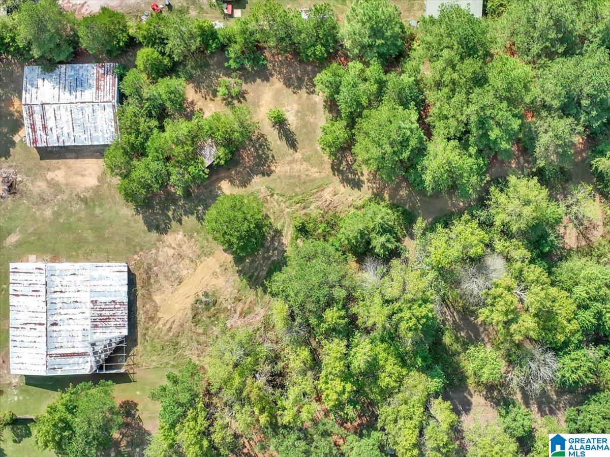 1672 Kirby Bridge Road Danville, AL 35619 - Photo 31 of 47
