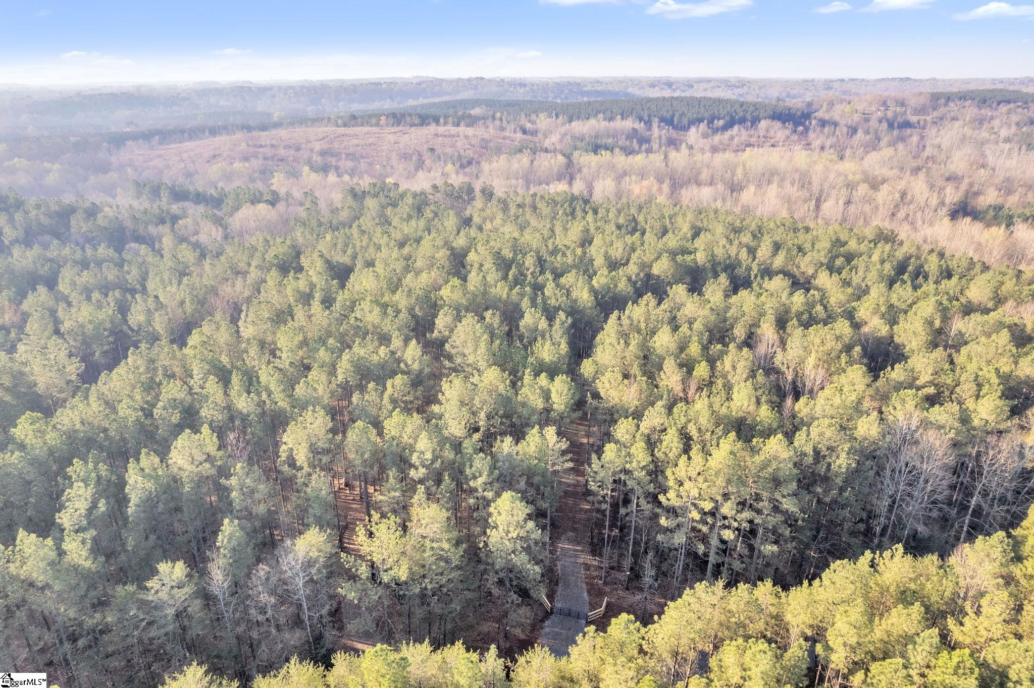 0 Franklin Finley Road, Unit LOT 9 Easley, SC 29640 - Photo 3 of 5