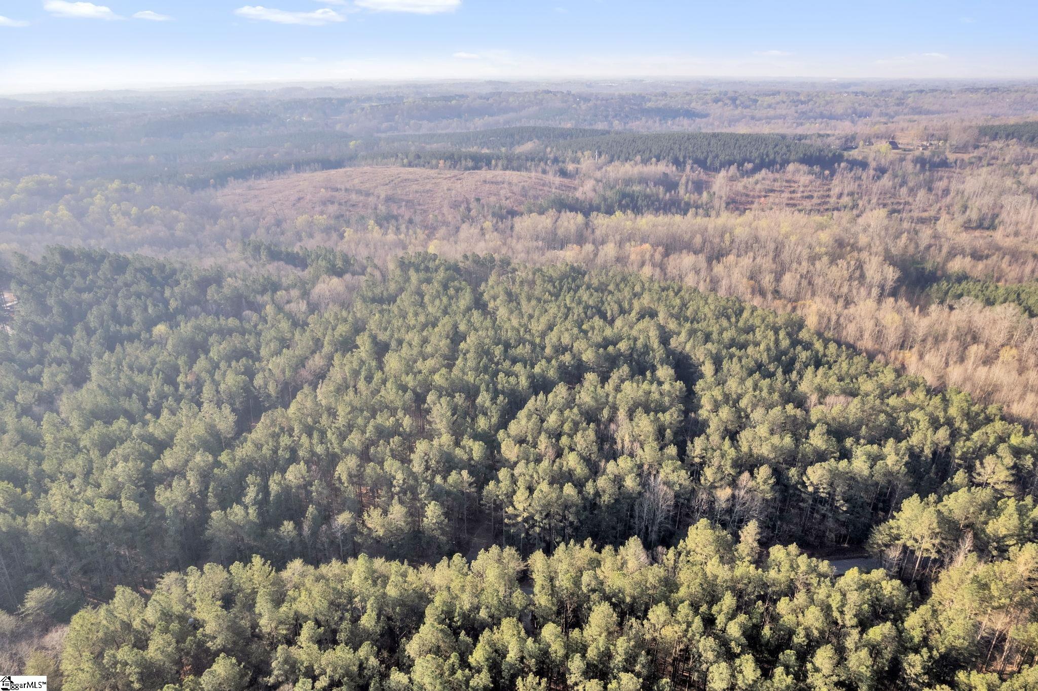 0 Franklin Finley Road, Unit LOT 9 Easley, SC 29640 - Photo 4 of 5