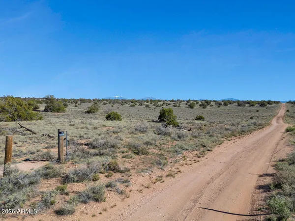 a view of a dry yard with trees