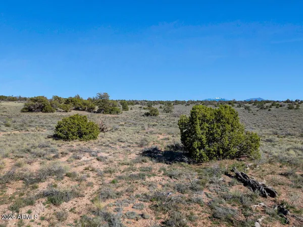a view of a dry yard with mountains in the background