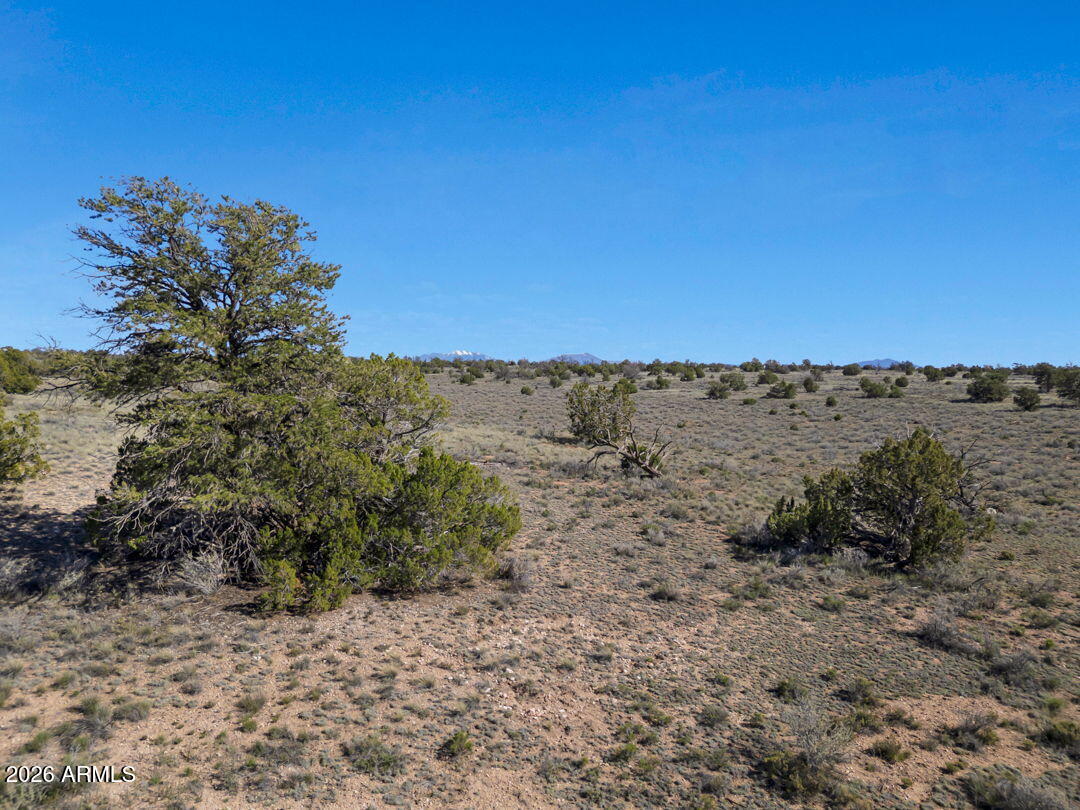 5355 North Alta Villa Road, Unit 58 Williams, AZ 86046 - Photo 8 of 13 Lot View