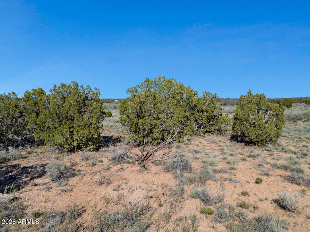 5355 North Alta Villa Road, Unit 58 Williams, AZ 86046 - Photo 9 of 13 Lot View