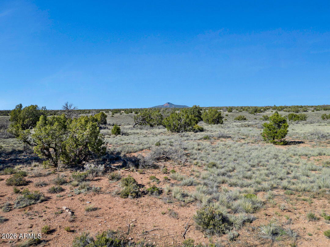 5355 North Alta Villa Road, Unit 58 Williams, AZ 86046 - Photo 10 of 13 Lot View