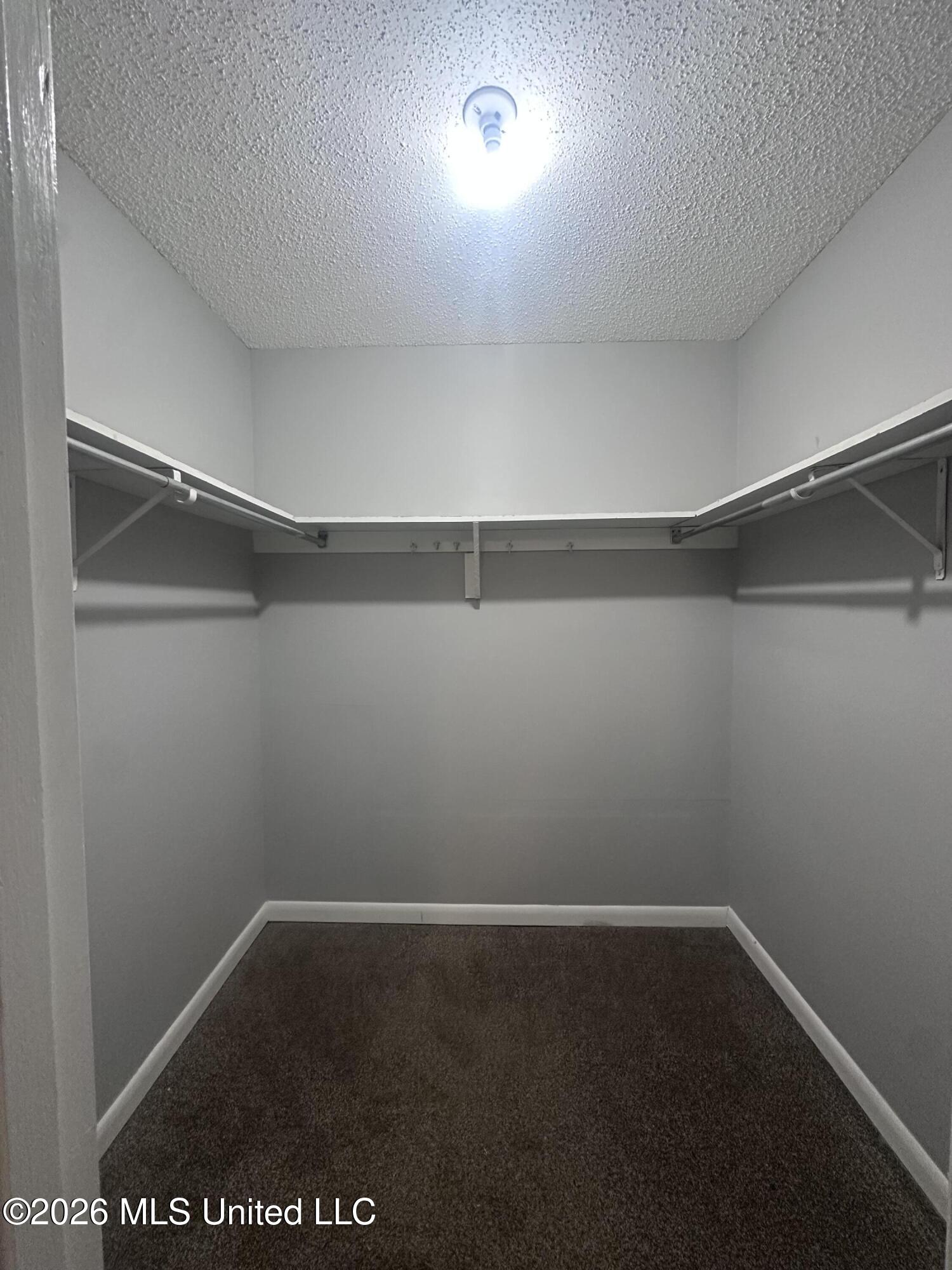 5629 Ridgetop Drive Horn Lake, MS 38637 - Photo 11 of 15 Primary Walk In Closet