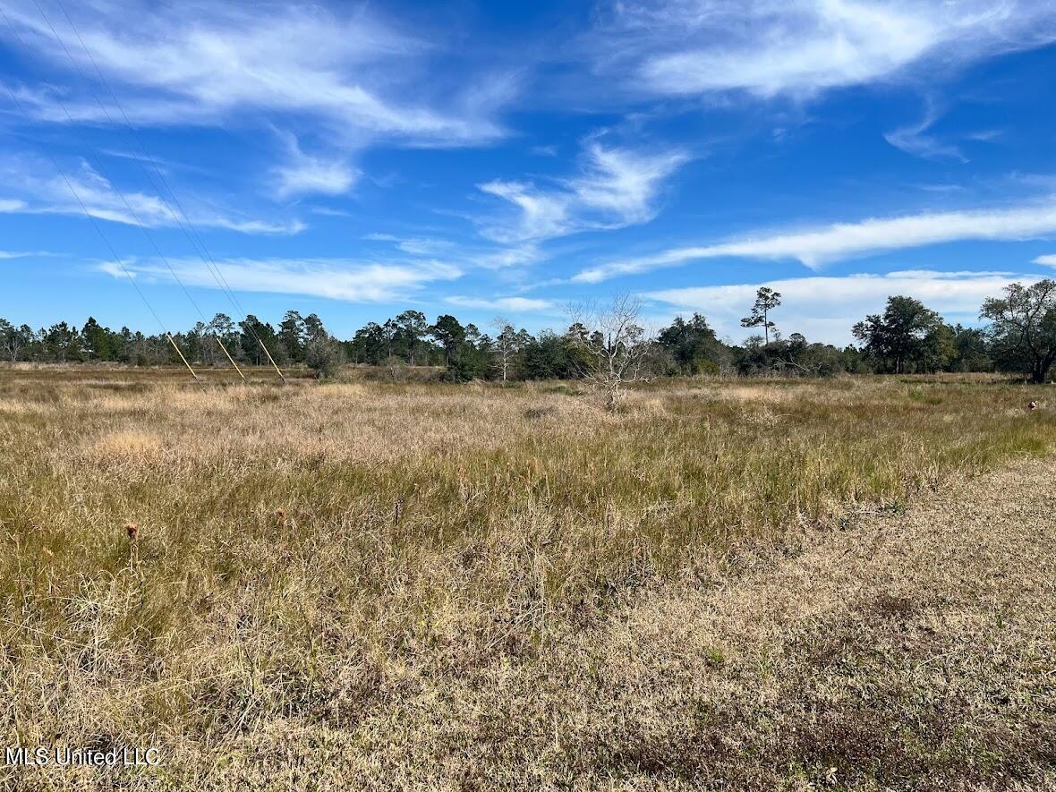 Lot 61 Sugar Field Road Bay St. Louis, MS 39520 - Photo 1 of 7 61