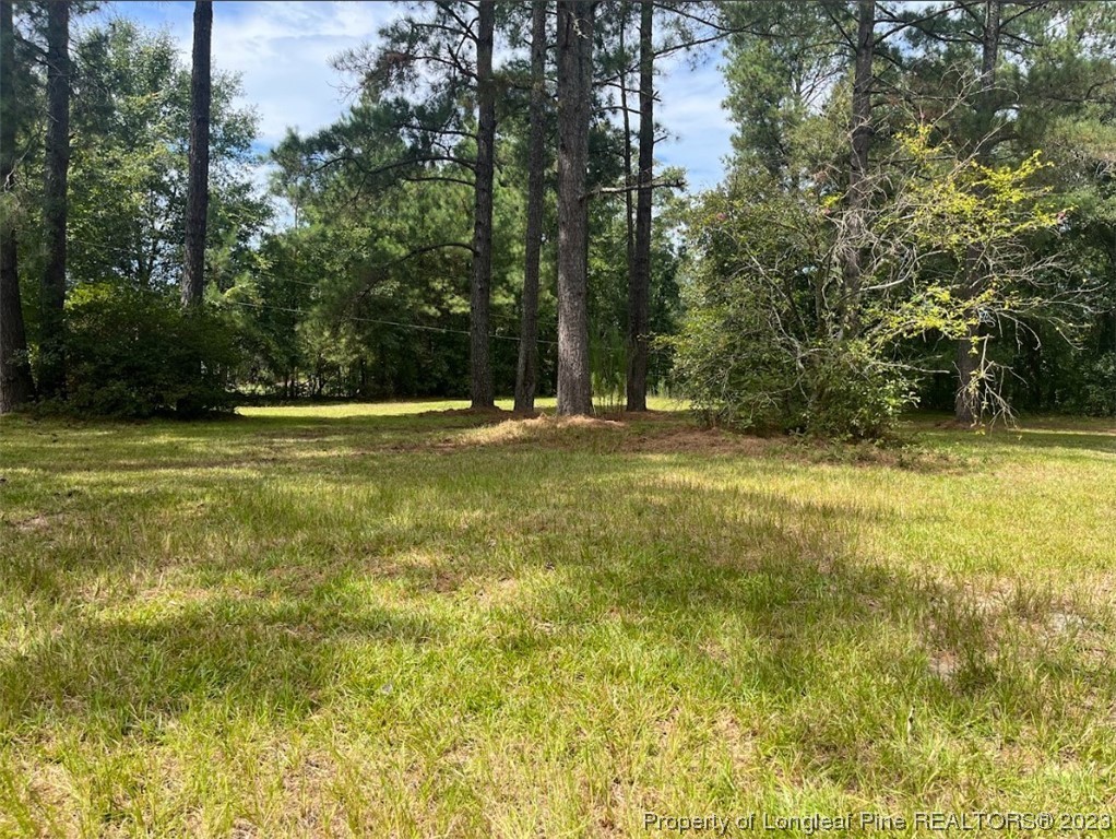 844 Boyd Lake Road Hamlet, NC 28345 - Photo 20 of 21 a view of a tennis court