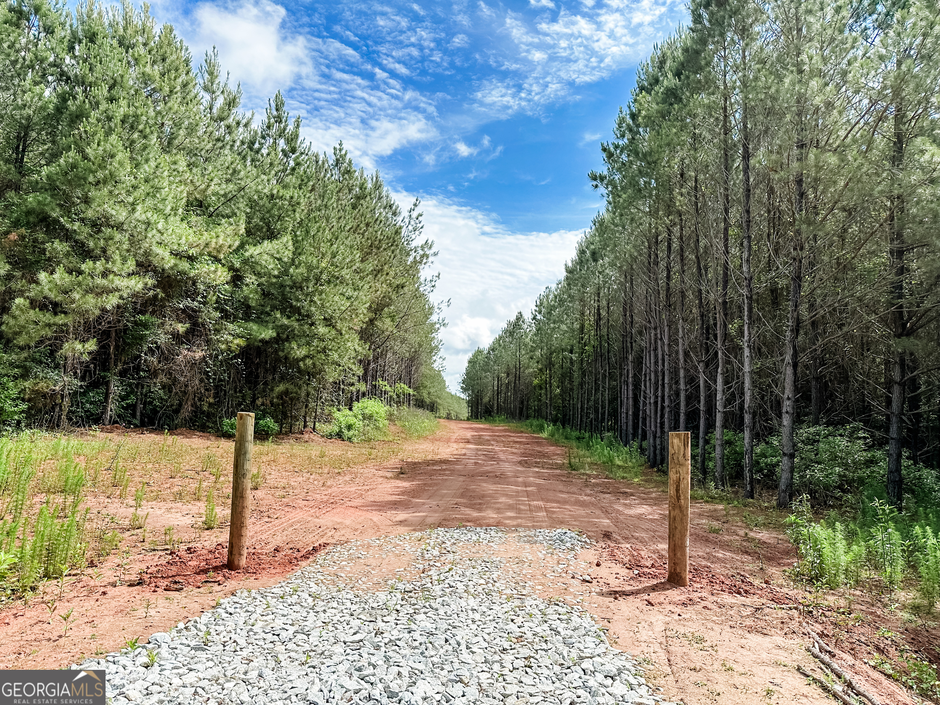 52.4-acres Goolsby Road, Unit 52 4 ACRES Monticello, GA 31064 - Photo 7 of 25